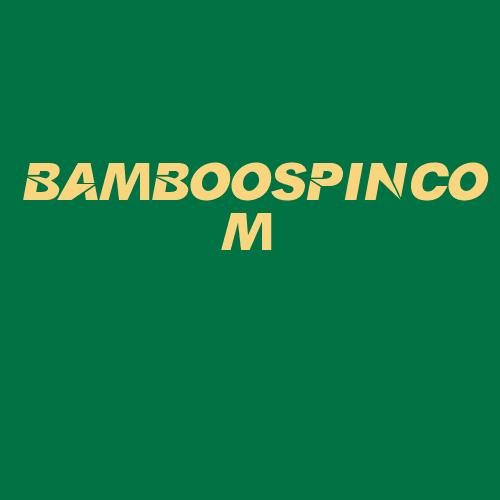 Logo da BAMBOOSPINCOM